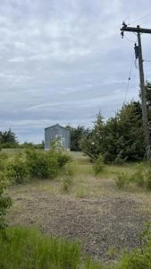 Picture provided by Derek Repp 05/28/2025